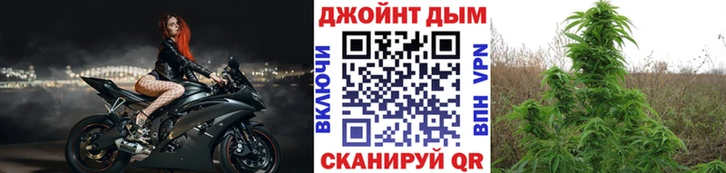 Купить  Дюртюли  Конопля Ganja 